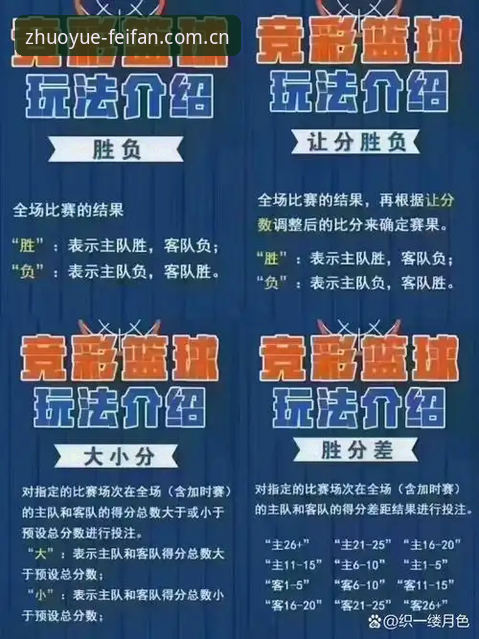 揭秘非凡体育平台官网使用教程：你不知道的高效操作技巧与竞猜规则深度解析